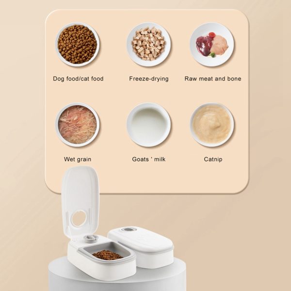 Automatic Pet Feeder Smart Food Dispenser For Cats Dogs Timer Stainless Steel Bowl Auto Dog Cat Pet Feeding Pets Supplies - 图片 2